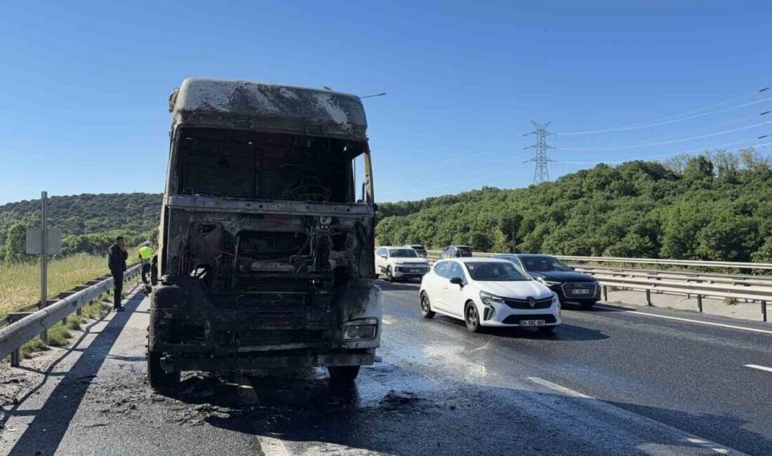 İstanbul’un Eyüpsultan ilçesinde seyir halindeki bir tırın motor kısmında çıkan