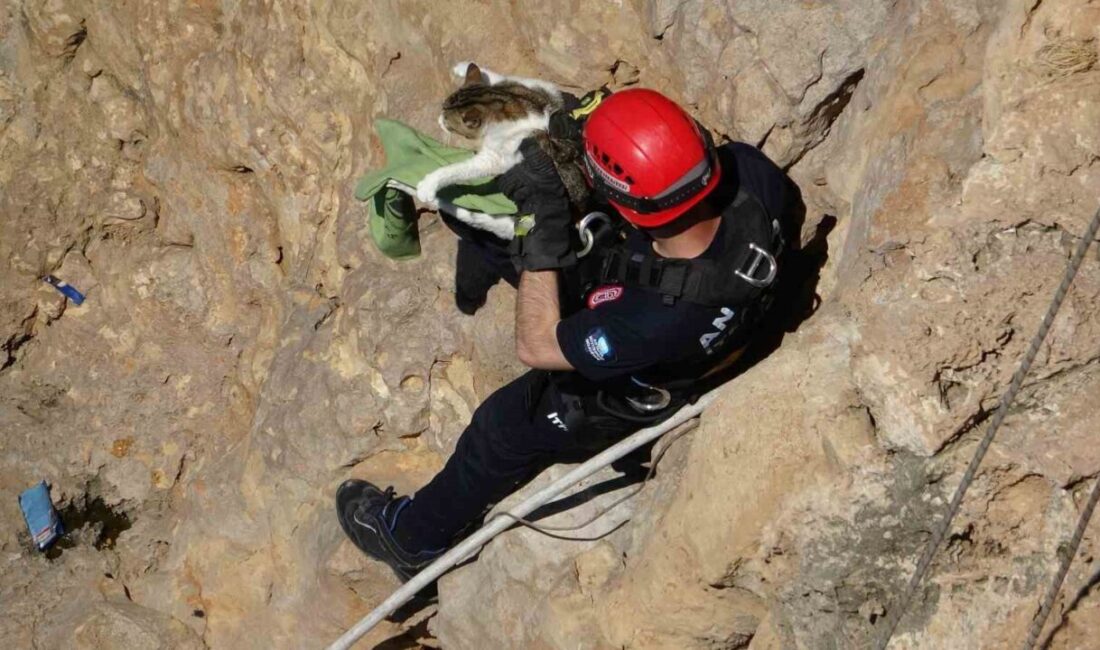Antalya’da, yaklaşık 30 metre yükseklikteki falezlerde sıkışıp kalan bir kedi,