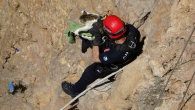 Antalya’da, yaklaşık 30 metre yükseklikteki falezlerde sıkışıp kalan bir kedi,