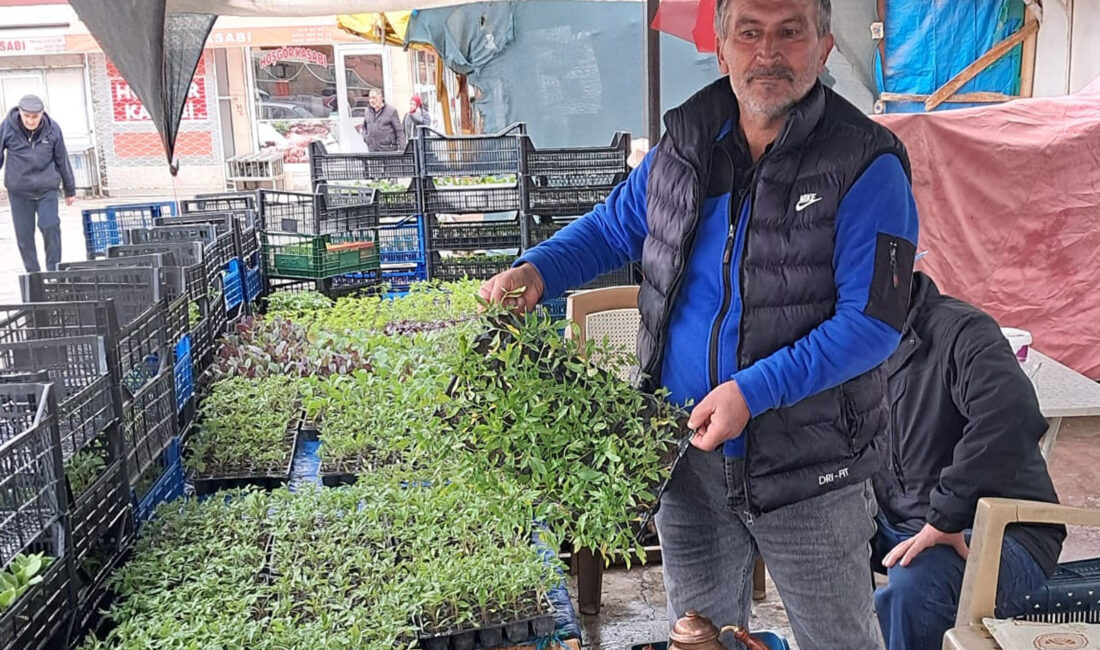 Yozgat’ın Yerköy ilçesinde baharın gelmesiyle birlikte fide satışları hız kazanırken,