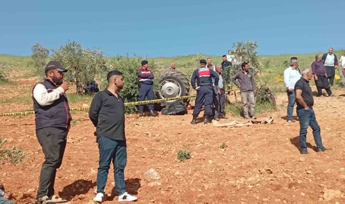 Nizip ilçesinde bir çiftçi, fıstık tarlasını sürmek için kullandığı traktörün