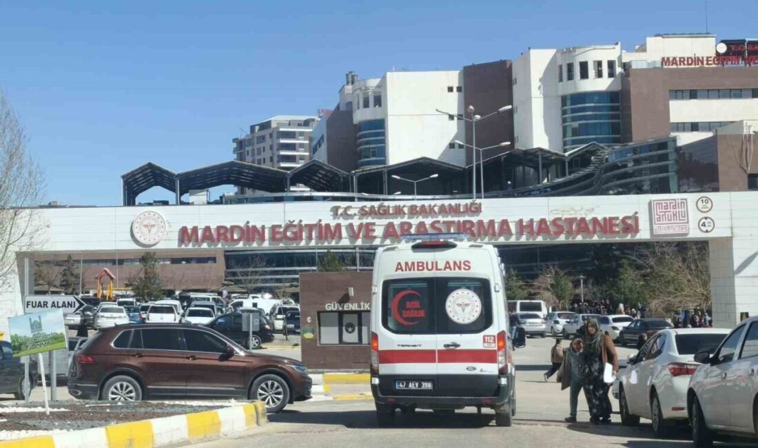 Mardin’in Artuklu ilçesindeki bir evin yakınında geri geri manevra yapan