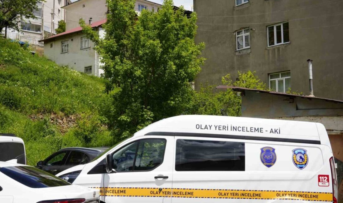 Gümüşhane ilinde 19 yaşındaki bir üniversite öğrencisi genç kız, kız