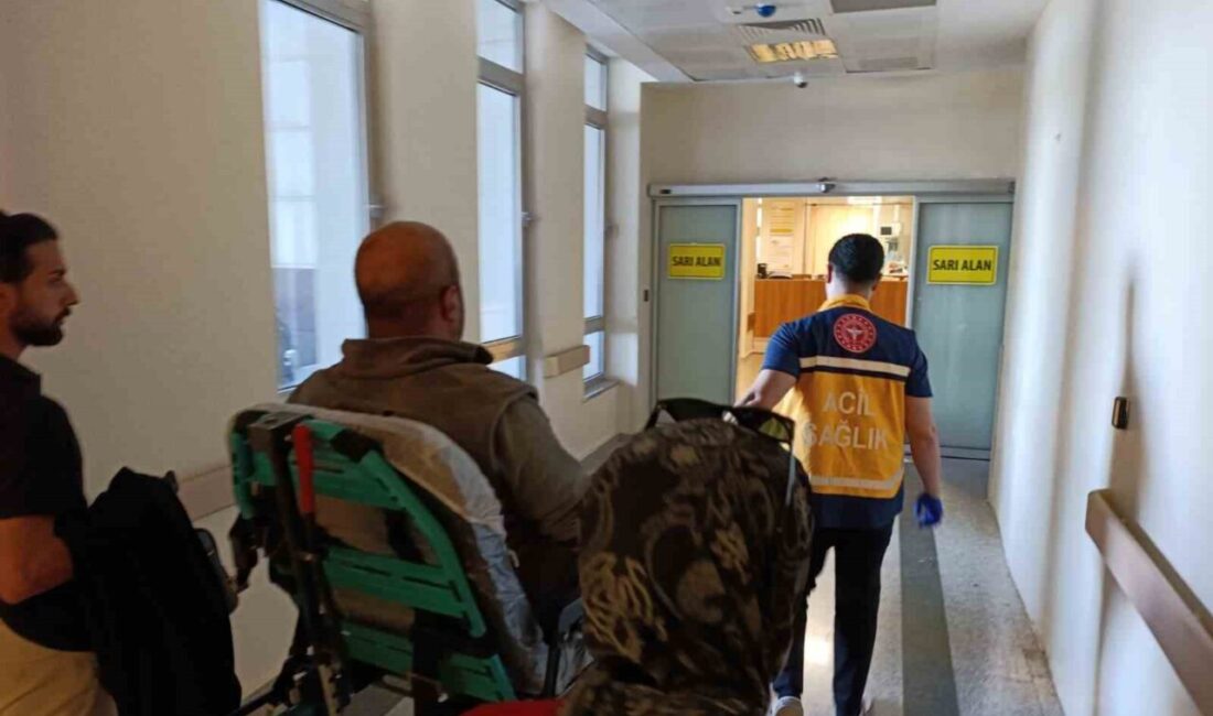 Adıyaman’da, bir hafif ticari araç ile motosikletin çarpışması sonucunda bir