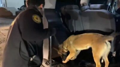 Hakkari’nin Yüksekova ilçesinde, polis ekipleri tarafından gerçekleştirilen operasyonda bir araçta