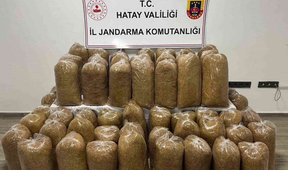 Hatay’da İl Jandarma Komutanlığı ekipleri tarafından gerçekleştirilen asayiş ve kaçakçılıkla