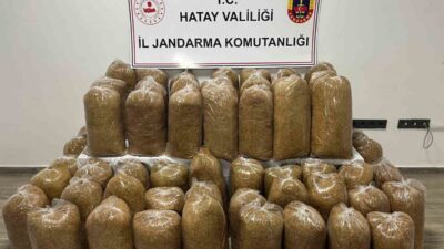Hatay’da İl Jandarma Komutanlığı ekipleri tarafından gerçekleştirilen asayiş ve kaçakçılıkla