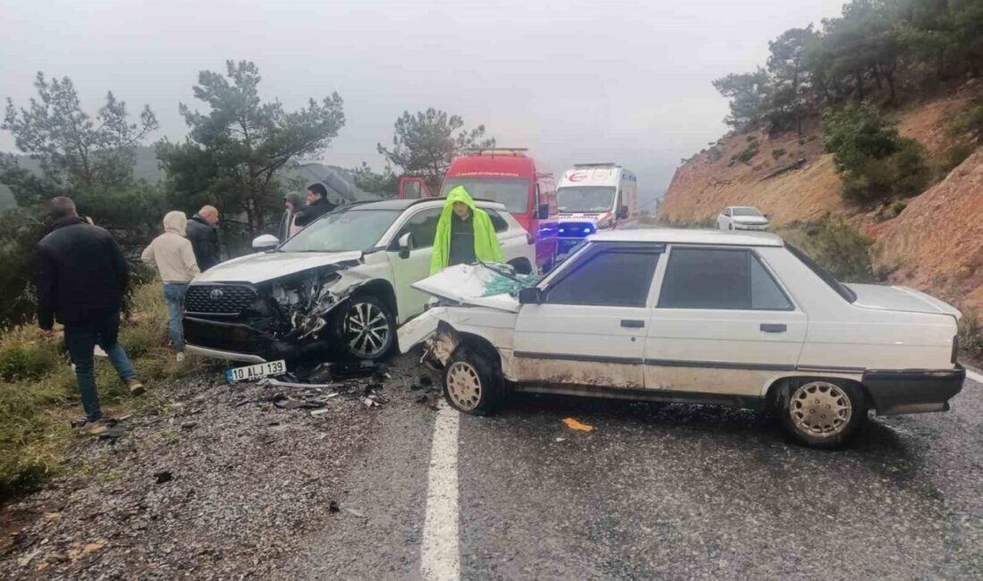 Havran, Balıkesir ilçesinde meydana gelen trafik kazasında 1 kişi yaralandı.