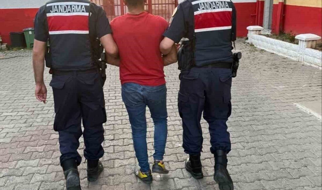 İncirliova ilçesinde, hırsızlık suçundan aranan ve hakkında 7 yıl hapis