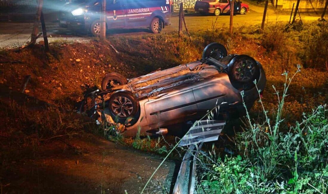Sakarya’nın Akyazı ilçesinde meydana gelen olayda, alkollü oldukları iddia edilen