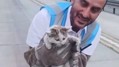 Avcılar Saadetdere ve Şükrübey metrobüs durakları arasında hat içine giren