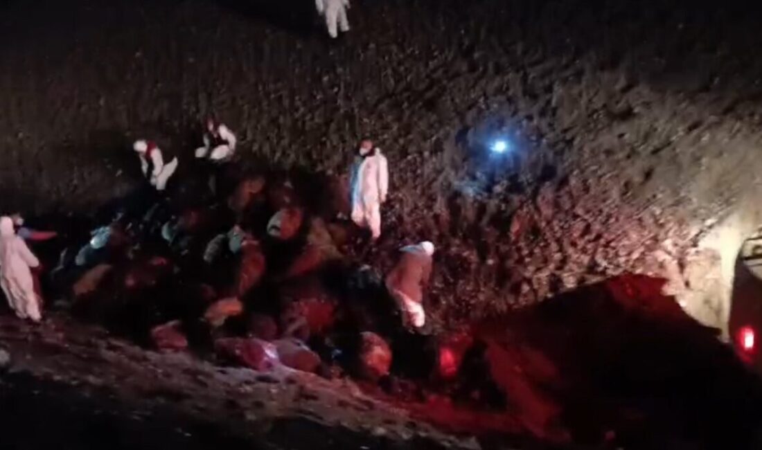 Iğdır’da meydana gelen arı saldırısının ardından ortaya çıkan sonuçlar netlik