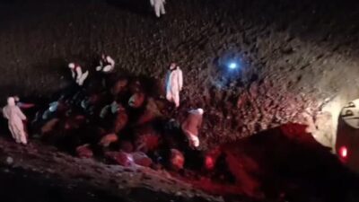 Iğdır’da meydana gelen arı saldırısının ardından ortaya çıkan sonuçlar netlik