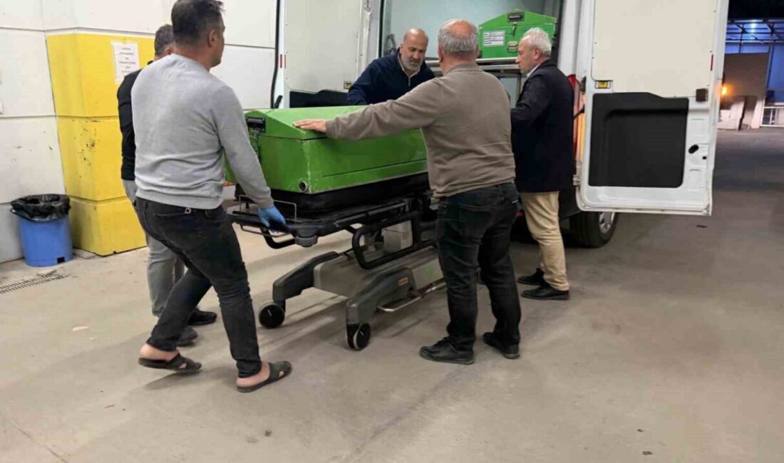 Adıyaman’da, bir genç ikinci kattan düşerek hayatını kaybetti. Edinilen bilgilere