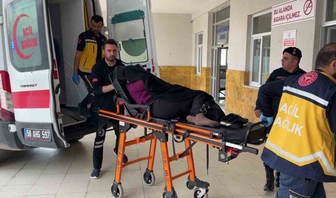 Sivas’ın Yıldızeli ilçesine bağlı Töngel köyünde, bir komşunun bostanına giren