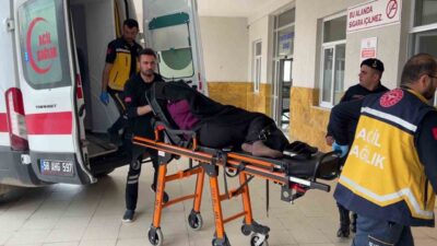 Sivas’ın Yıldızeli ilçesine bağlı Töngel köyünde, bir komşunun bostanına giren