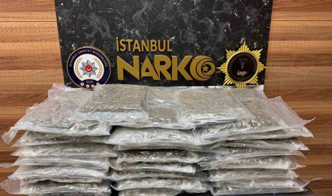İstanbul’un Kartal ilçesinde gerçekleşen bir operasyonda, bir ev ile araçta
