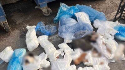 İzmir’in Buca ilçesinde, bir çöp konteynerinde poşetler içerisinde 33 ölü