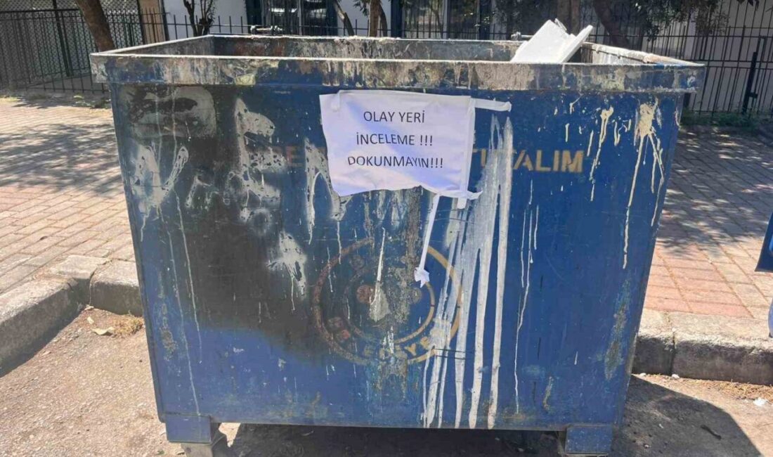 Buca ilçesindeki bir çöp konteynerinde bulunan 33 ölü kedi ile