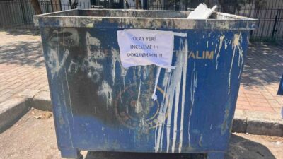 Buca ilçesindeki bir çöp konteynerinde bulunan 33 ölü kedi ile
