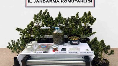 Muğla İl Jandarma Komutanlığı’nın gözetiminde, 11-17 Mayıs 2026 tarihleri ​​arasında
