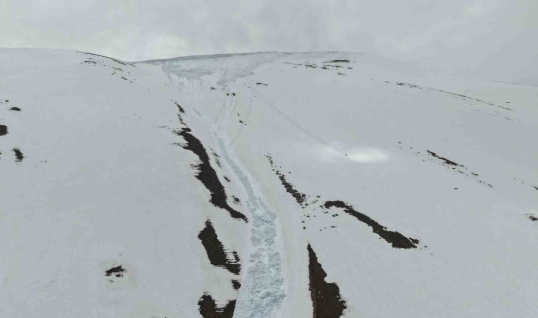 Kandilli Sıra Dağları’nda Tuzluca ilçesine bağlı alanda meydana gelen çığın