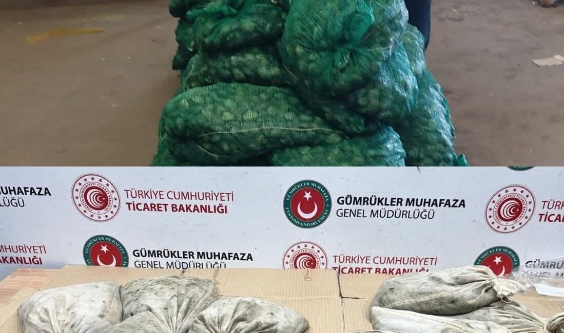 Edirne İl Tarım ve Orman Müdürlüğü ile Gümrük Muhafaza Müdürlüğü