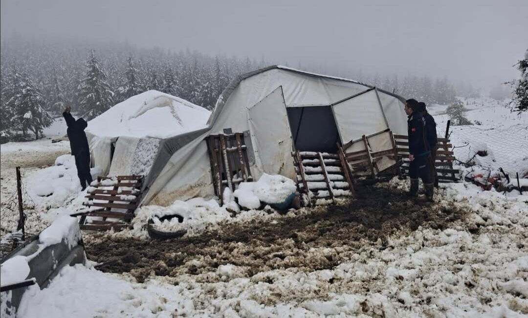 Denizli’nin Tavas ilçesinde, kar yağışının etkisiyle çöken bir çadırın altında