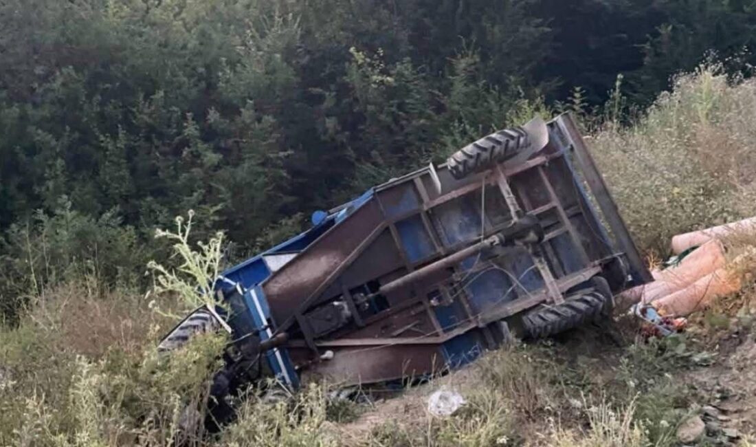Kastamonu’nun Doğanyurt ilçesinde, tarım aracı olarak bilinen “pat-pat”ın devrilmesi sonucunda