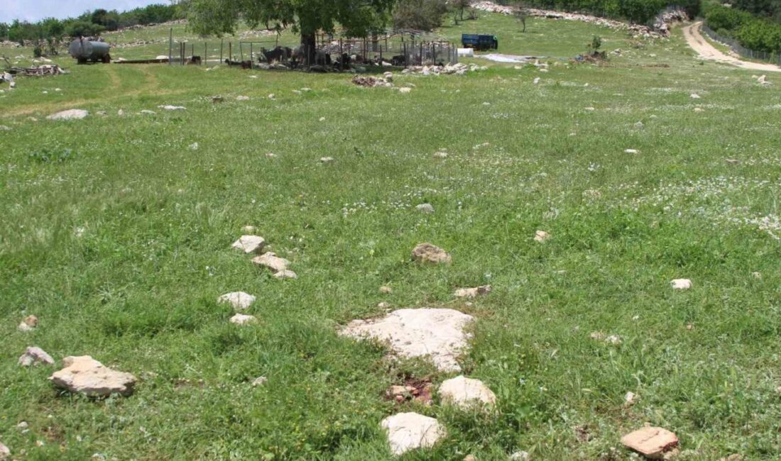 Mersin’de 6 kişiyi öldüren ve 8 kişiyi yaralayan katilin intihar