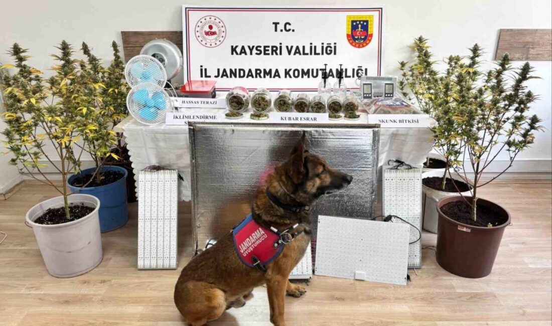 Kayseri İl Jandarma Komutanlığı’nın operasyonunda 830 gram uyuşturucu madde ele