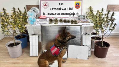 Kayseri İl Jandarma Komutanlığı’nın operasyonunda 830 gram uyuşturucu madde ele