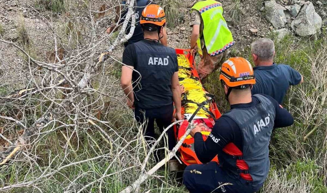 Hatay’ın Samandağ ilçesinde, kekik toplamak için dağlık araziye giden yaşlı