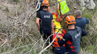 Hatay’ın Samandağ ilçesinde, kekik toplamak için dağlık araziye giden yaşlı