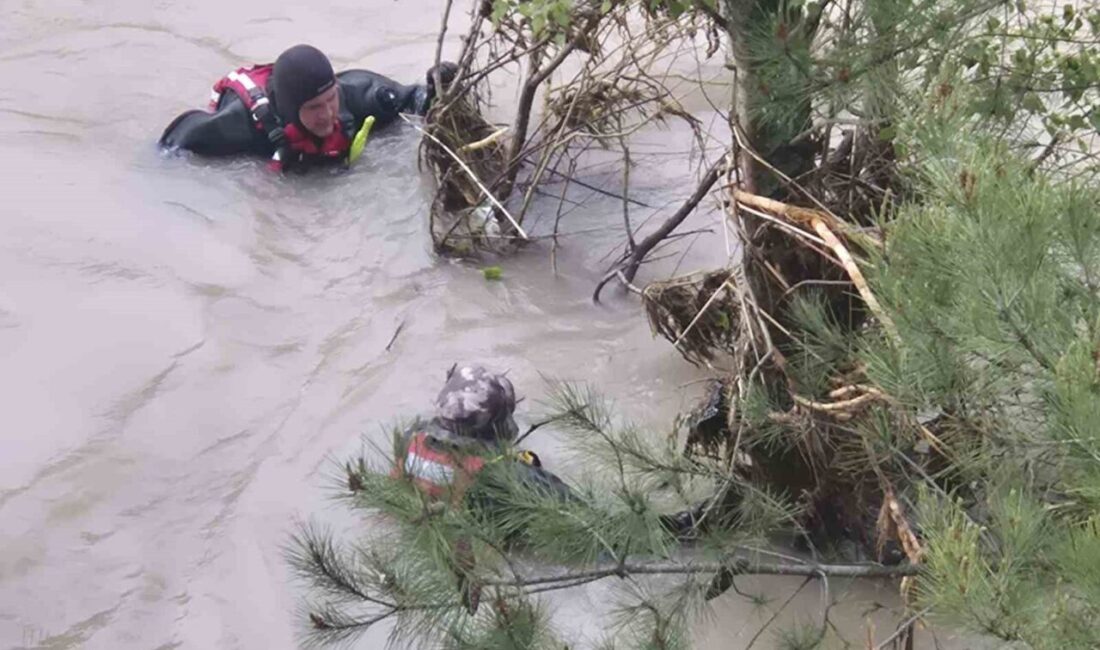 Koyulhisar ilçesinde meydana gelen acı bir olay sonrasında, trafik kazası