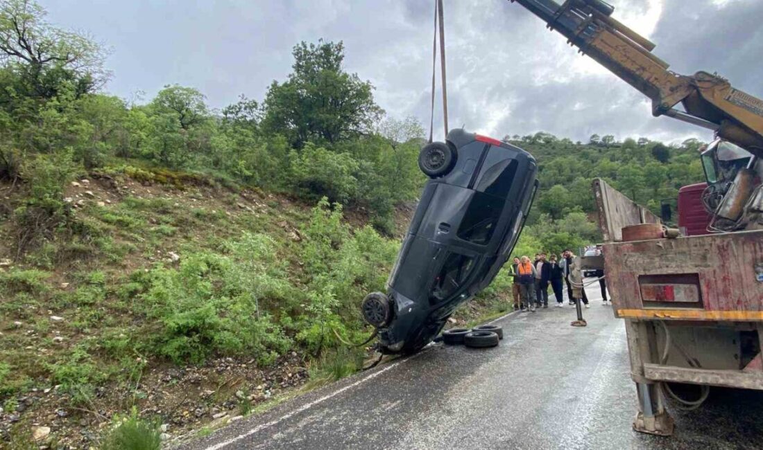 Kemaliye ilçesinde şiddetli yağışın yol açtığı trafik kazasında bir araç