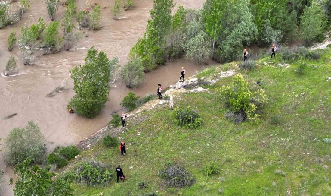 Sivas’ın Koyulhisar ilçesinde meydana gelen ve Kelkit Çayı’na atladığı iddia