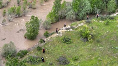 Sivas’ın Koyulhisar ilçesinde meydana gelen ve Kelkit Çayı’na atladığı iddia