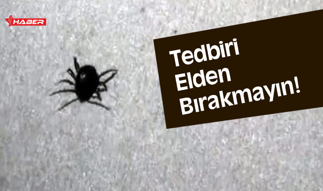Hava sıcaklıklarının artmasıyla birlikte, özellikle İç Anadolu Bölgesi’nde her yıl