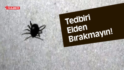 Hava sıcaklıklarının artmasıyla birlikte, özellikle İç Anadolu Bölgesi’nde her yıl