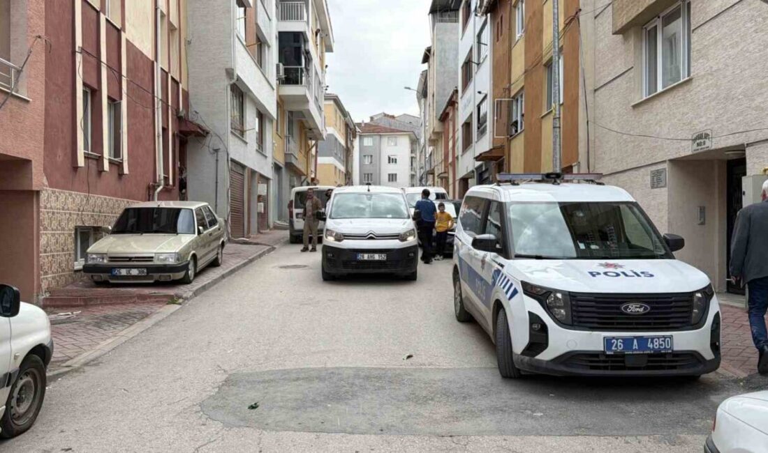 Eskişehir’de bir kombi teknisyeni, bakım yapmak için gittiği bir evde