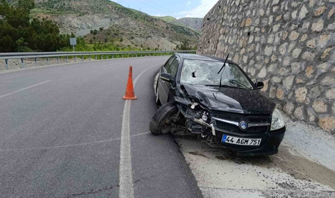 Malatya’da bir otomobilin sürücüsünün direksiyon hakimiyetini kaybetmesi sonucu meydana gelen