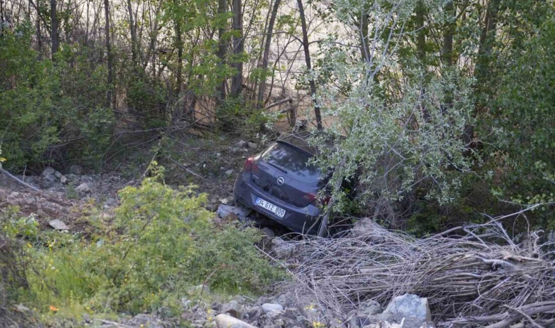 Torul ilçesine bağlı Harmancık Köyü mevkiinde meydana gelen trafik kazasında,