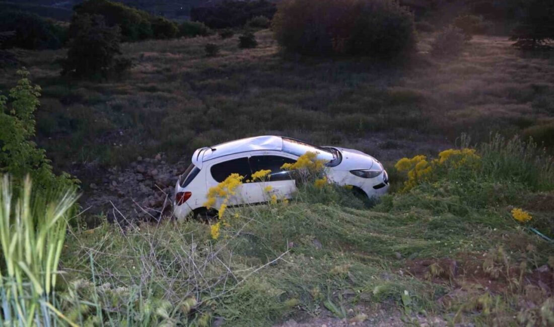 Nevşehir’de bir sürücü, köpeğe çarpmamak için yaptığı manevra sonucu otomobilinin