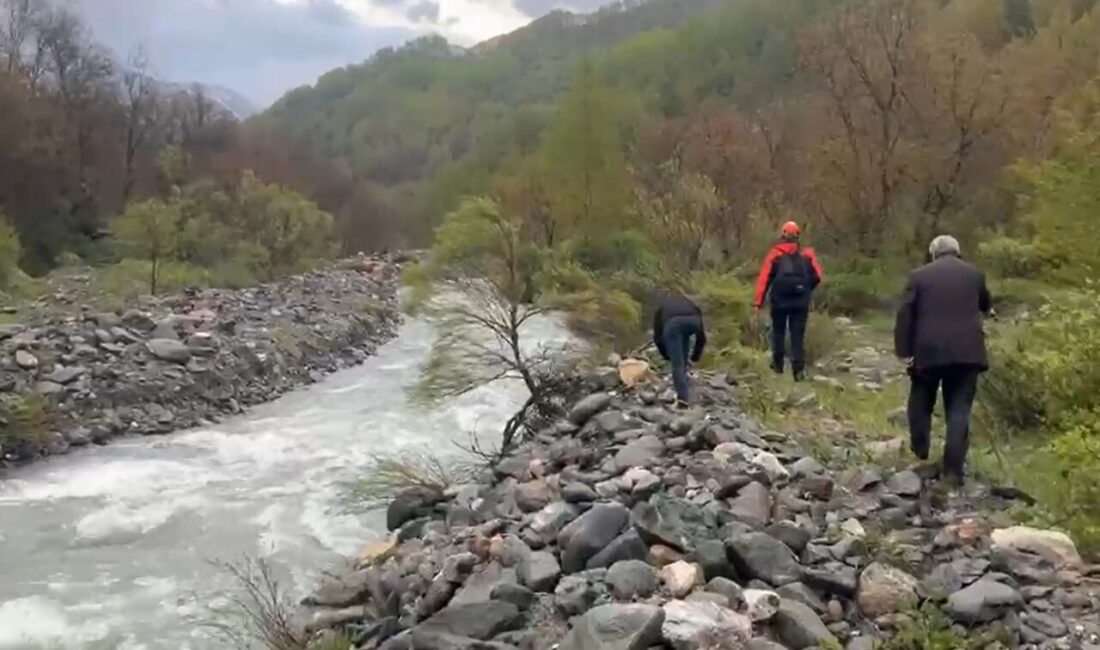 Muş’un Cevizlidere köyünde, bir kadın köprüden geçerken dengesini kaybederek çaya