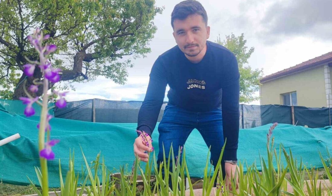 Yozgatlı genç girişimci Emre Sarıaslan, Poyrazlı köyünde yürüttüğü salep üretim