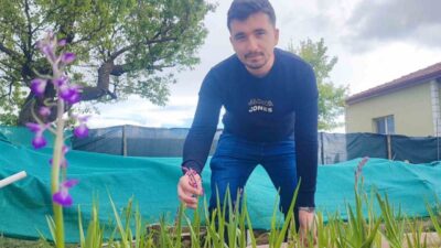 Yozgatlı genç girişimci Emre Sarıaslan, Poyrazlı köyünde yürüttüğü salep üretim
