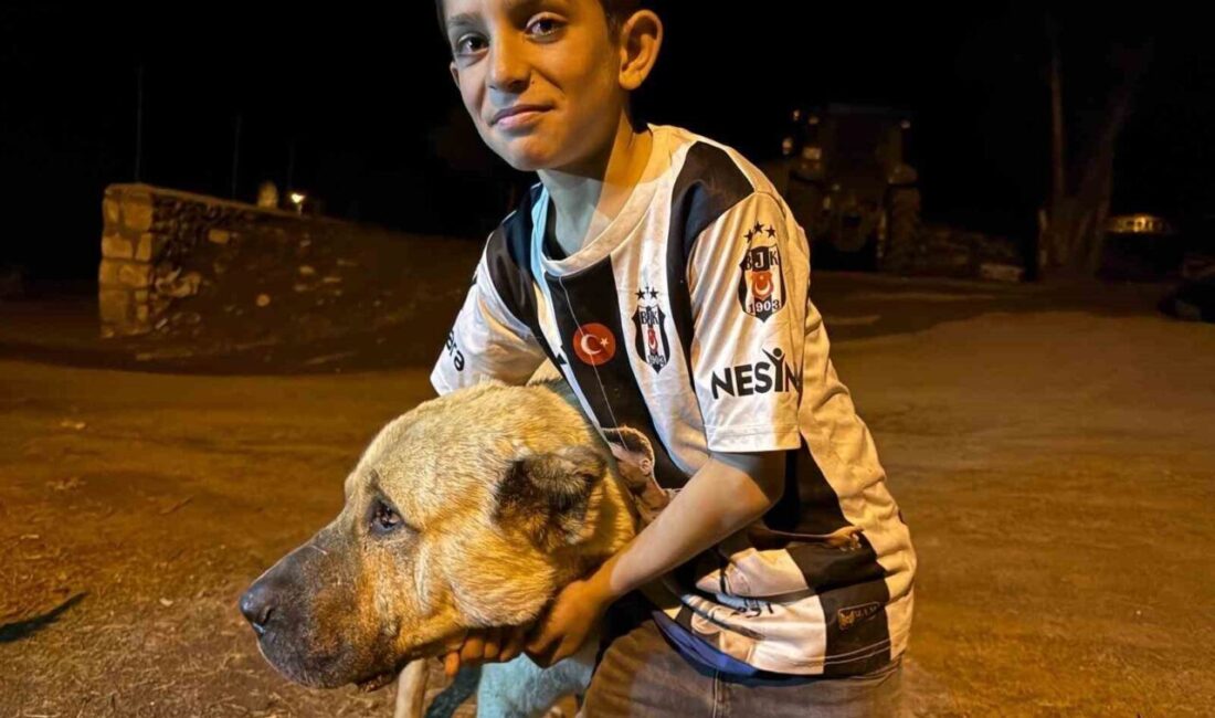 Erzurum’un Karayazı ilçesi Çakmaközü Mahallesi’nde 10 yaşındaki Sencar, iki ayının