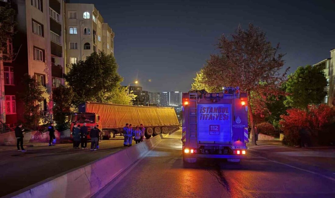 Küçükçekmece ilçesinde meydana gelen bir kaza sonucunda, palet yüklü bir