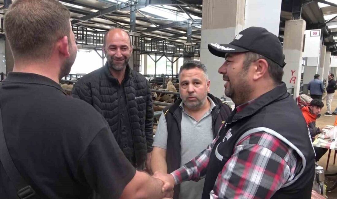 Kurban Bayramı öncesi Bursa’daki hayvan pazarlarında hareketlilik artarken, Kaçakçılık ve